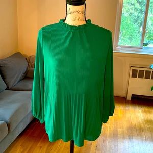 NWT Adrianna Papell Stretch Blouse with Ruffled Neck